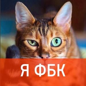 Meet your Posher, Alena